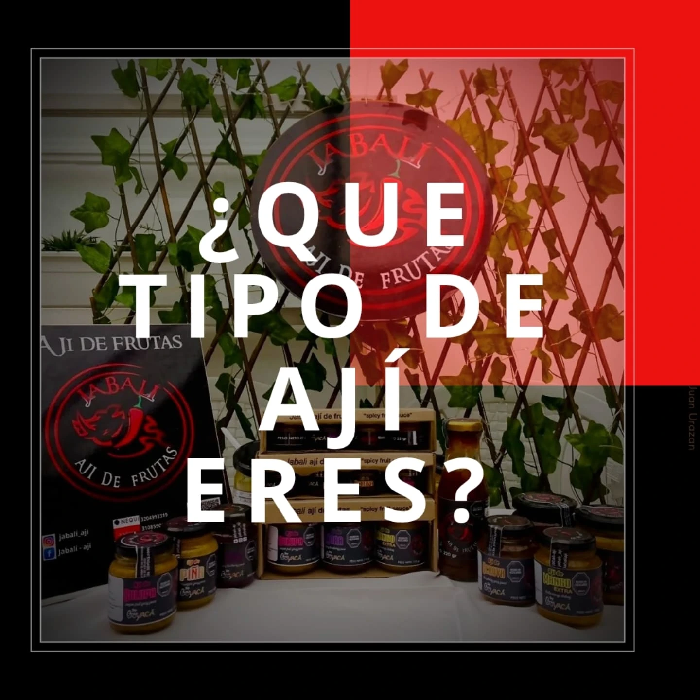 Colección Jabalí Ají de Frutas
